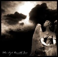  Where Angels Dare To Tread: Where Melodic Death Metal Meets Orchestral Grandeur