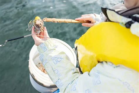 フィッシングボート 人気ランキング：魚が空を飛ぶ日まで