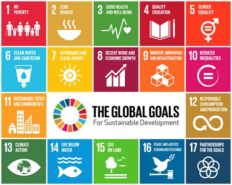 sdgs 14 私たちにできること 海の声を聞く